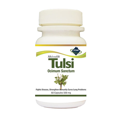 Tulsi- Ocimum sanctum