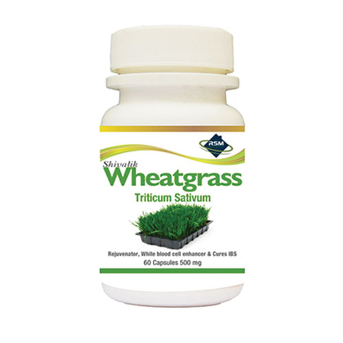 Wheatgrass Powder- Triticum sativum