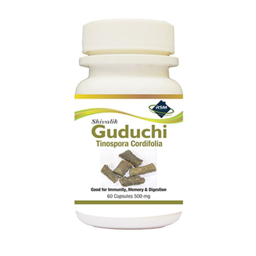 Guduchi- Tinospora cordifolia